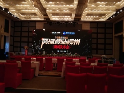 東巴象家裝集團(tuán)柳州新聞發(fā)布會成功舉辦，引領(lǐng)家居定制新篇章