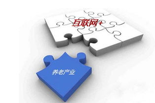 打造沒(méi)有圍墻的養(yǎng)老院 互聯(lián)網(wǎng)技術(shù)如何重塑養(yǎng)老服務(wù)